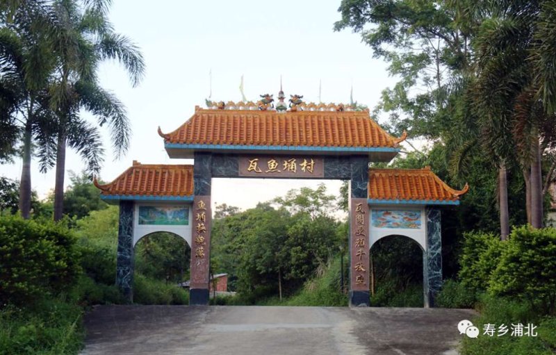 绿化树苗批发：引领城市绿色进程