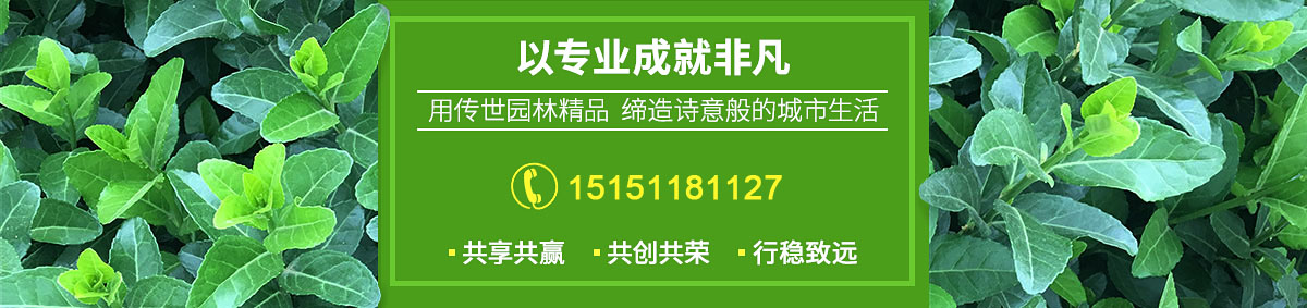 海哥园林苗木